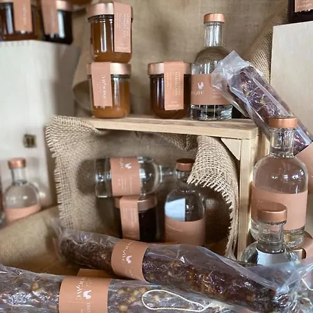 Brunarica Macesen Smogavc 山林小屋