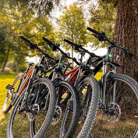 Brunarica Macesen Smogavc * 茨热塞