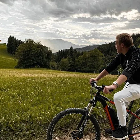 Brunarica Macesen Smogavc 山林小屋 茨热塞