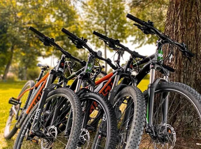 Brunarica Macesen Smogavc * Zreče