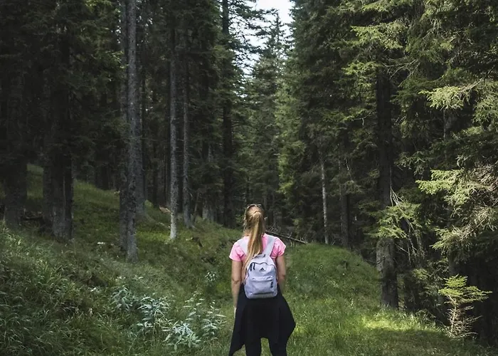 Domek letniskowy Brunarica Macesen Smogavc Zreče