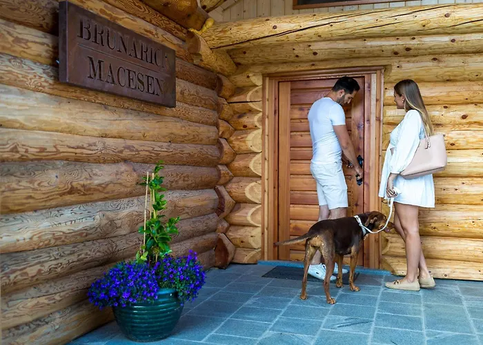 Brunarica Macesen Smogavc